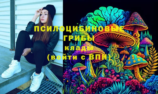 соль ск Надым