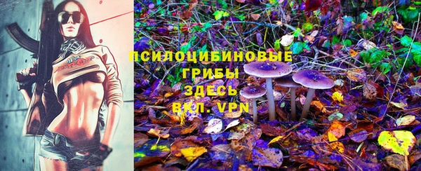 соль ск Надым