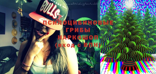 ECSTASY Новозыбков
