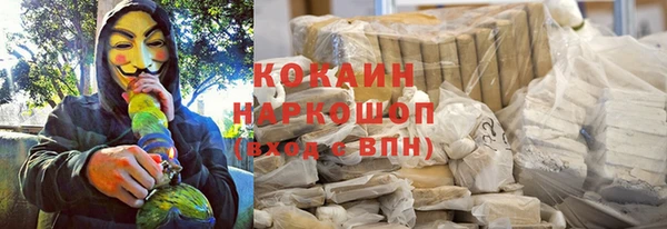 соль ск Надым