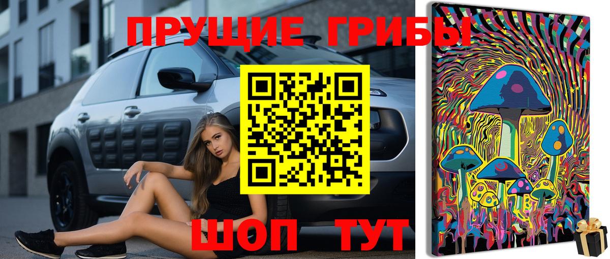 Галлюциногенные грибы Magic Shrooms  Галлюциногенные грибы Magic Shrooms  Троицк  Вход с VPN 